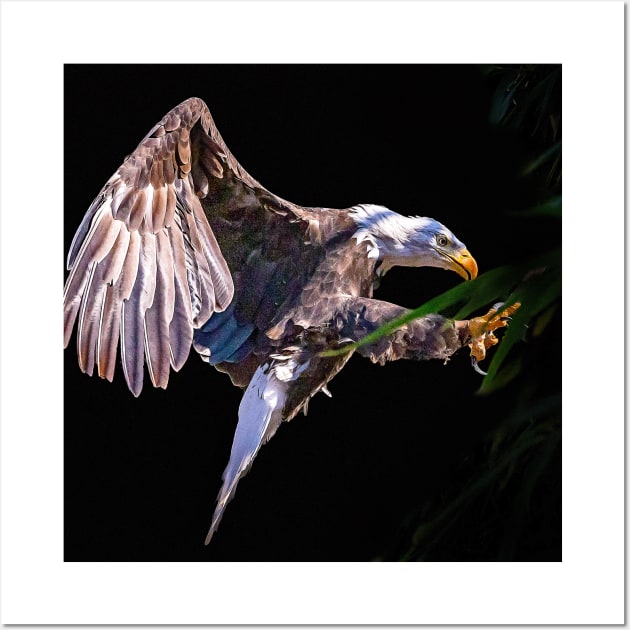 Golden Eagle Bird Animal Wildlife Forest Nature Travel Digital Painting Wall Art by Cubebox